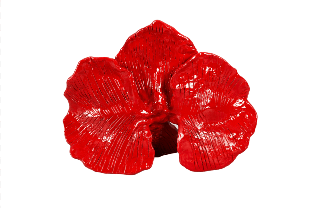 01 flor roja transparente