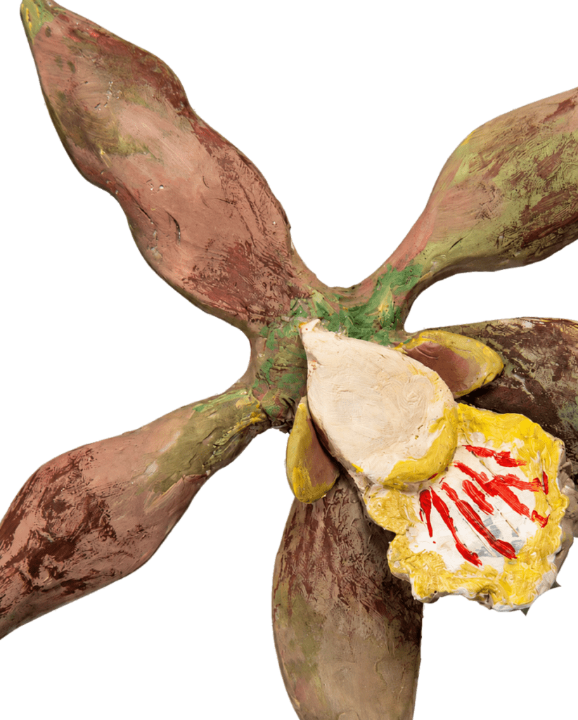 02 orquidea detalle transparente