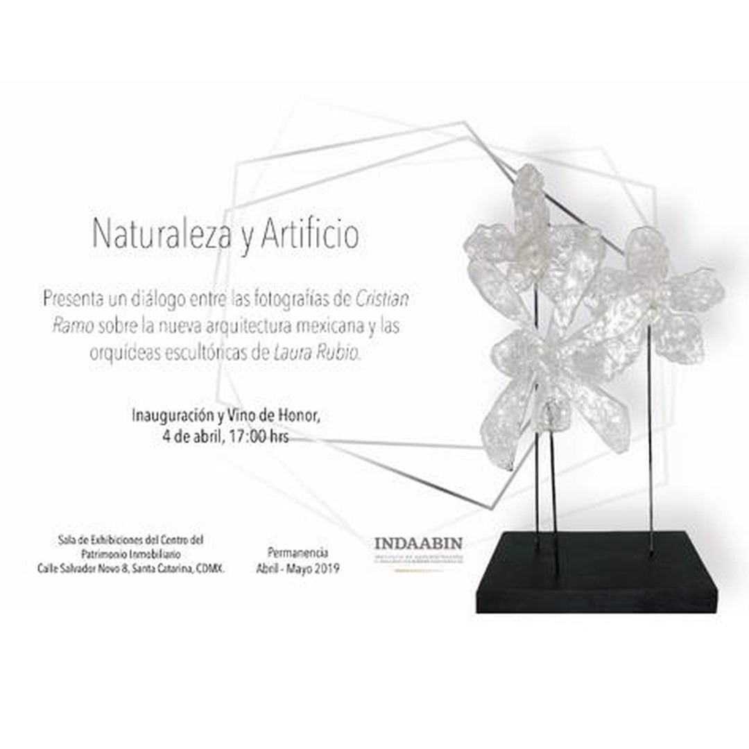 06 naturaleza y artificio 2019
